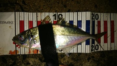 流れの中の変化